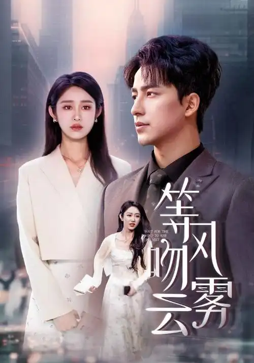 视频在线一区律政剧《无声证词》封面